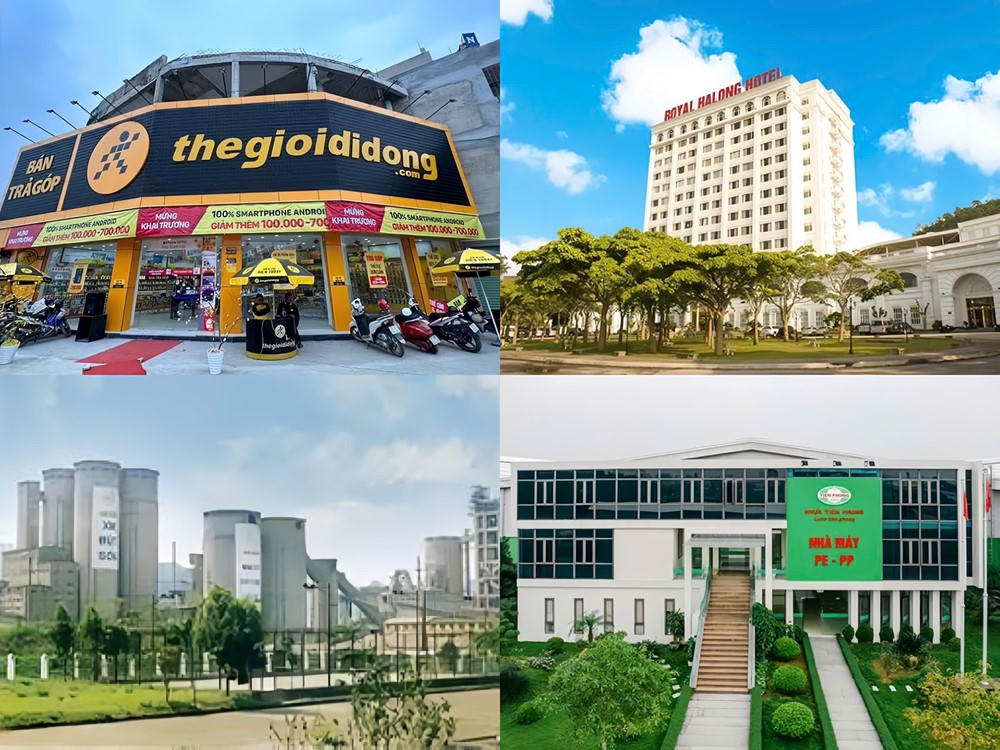 Điểm tin doanh nghiệp: Thế Giới Di Động lãi kỷ lục 1.770 tỷ đồng quý III, NTP vượt 11% kế hoạch năm