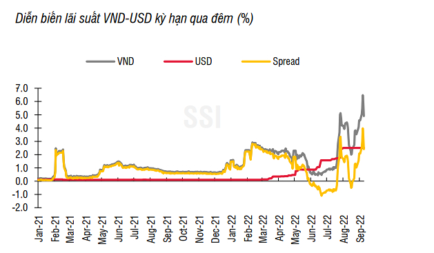 Nguồn: Ngân hàng nhà nước, SSI &nbsp;