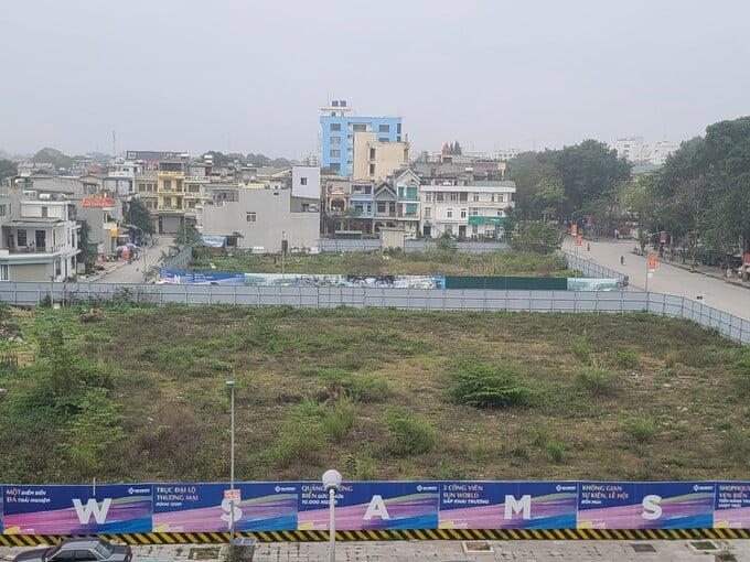 Hiện khu đất trên vẫn là bãi đất trống, cỏ dại mọc um tùm.