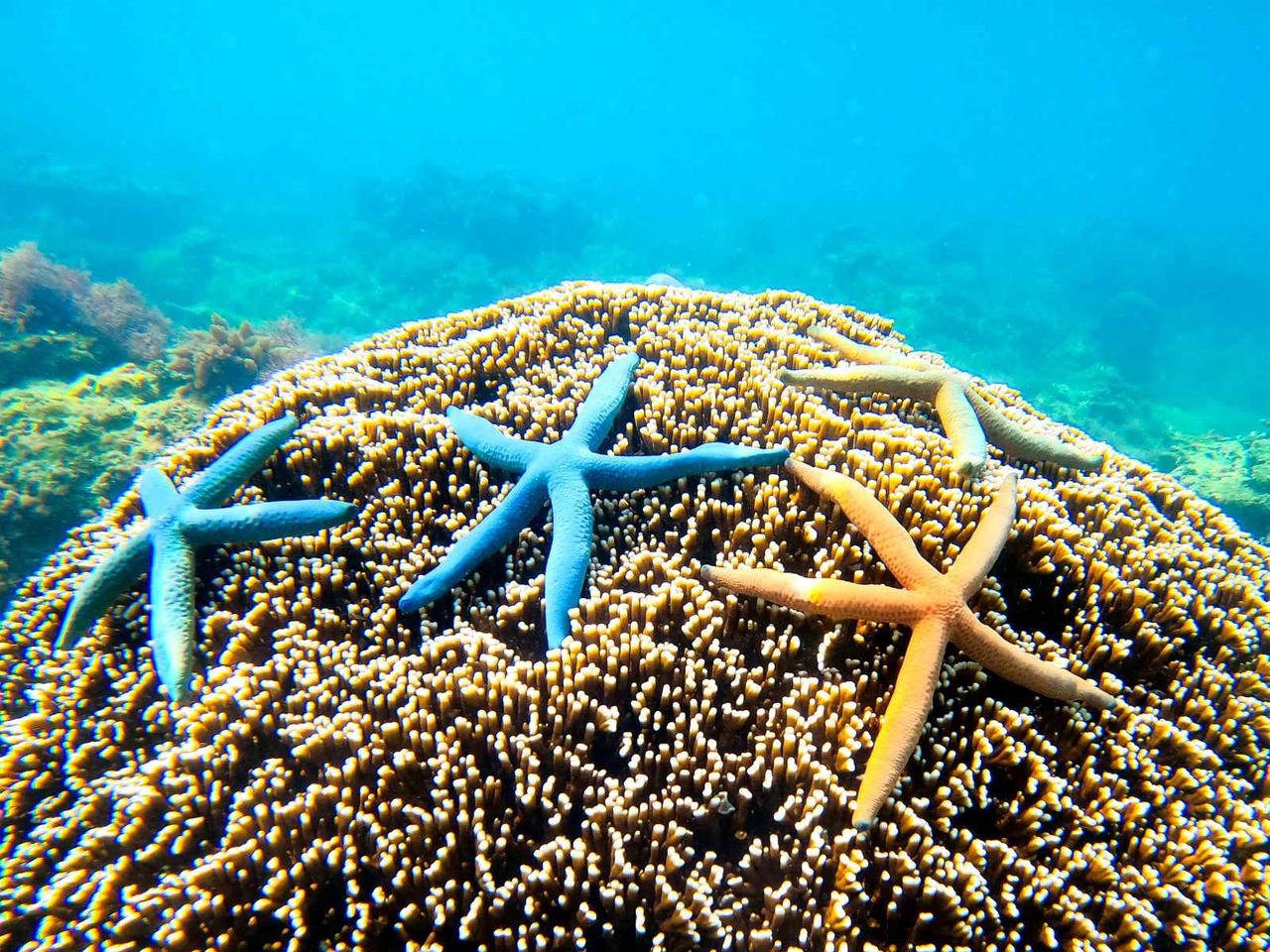 Sức hấp dẫn của bán đảo du lịch quốc tế Hải Giang – Quy Nhơn