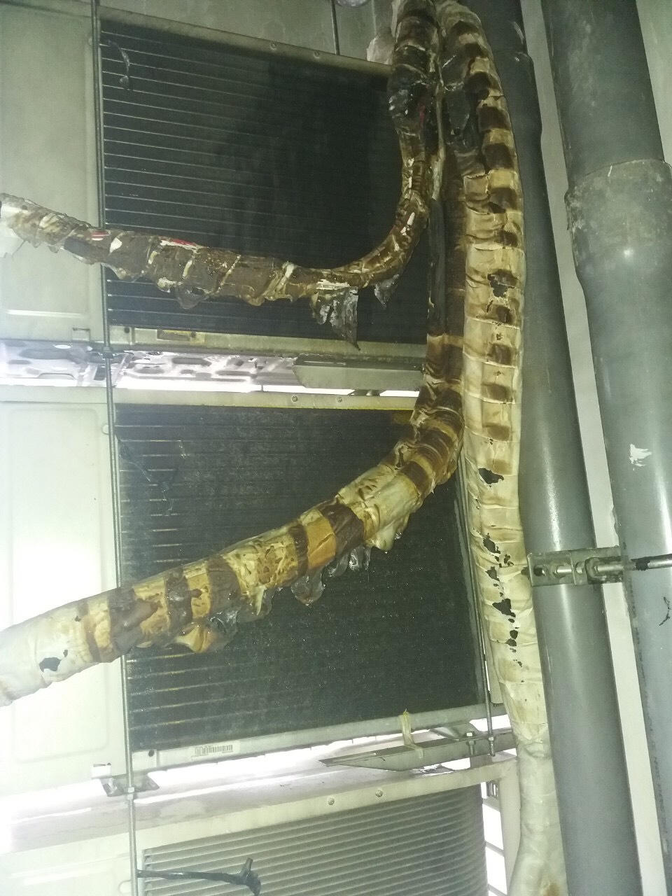 chay can ho chung cu cua tnr do dun bep gas hinh anh 3