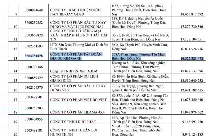 Liên tục nợ thuế, Kim Oanh Group được chấp thuận dự án nghìn tỷ