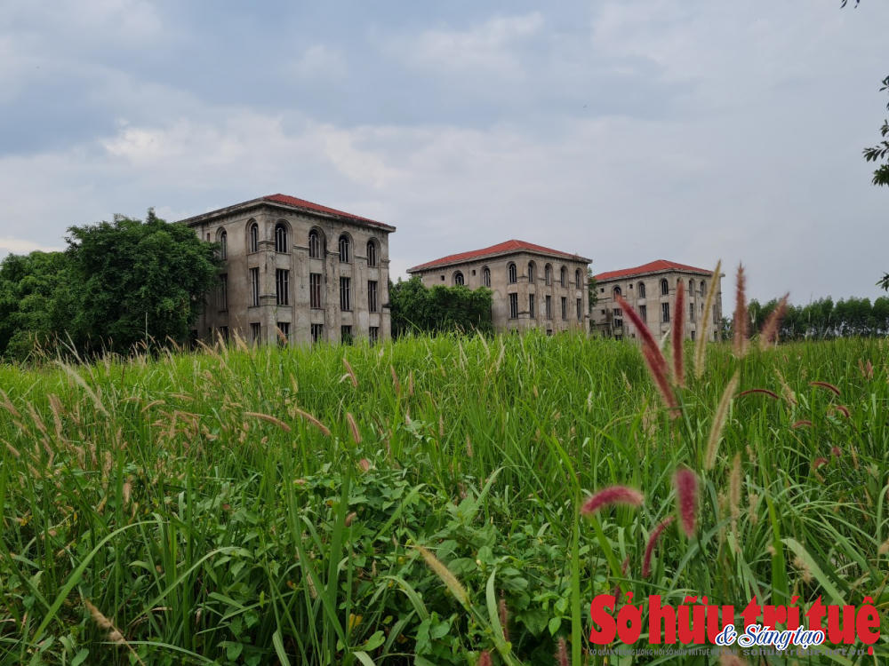 &nbsp;Những căn biệt thự đã được xây dựng nhiều năm nhưng không hiểu vì sao chủ đầu tư lại để không một cách lãng phí.