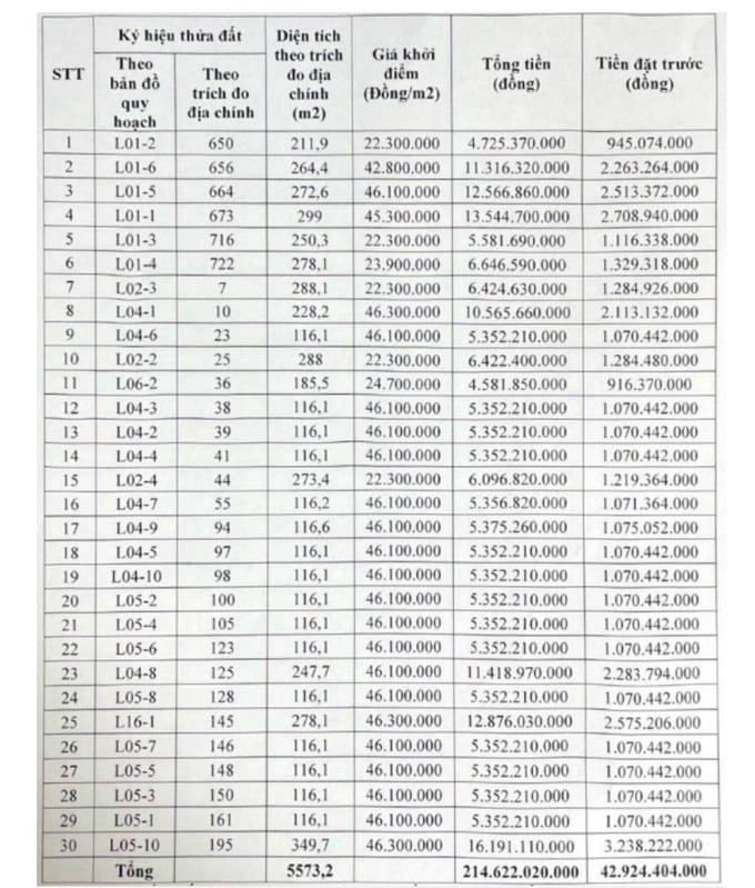 Thông tin 30 thửa đất mang ra đấu giá tại huyện Ba vì. (Ảnh chụp màn hình). &nbsp;