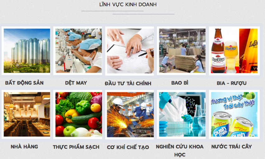 Các lĩnh vực hoạt động của Công ty cổ phần Tập đoàn Hương Sen