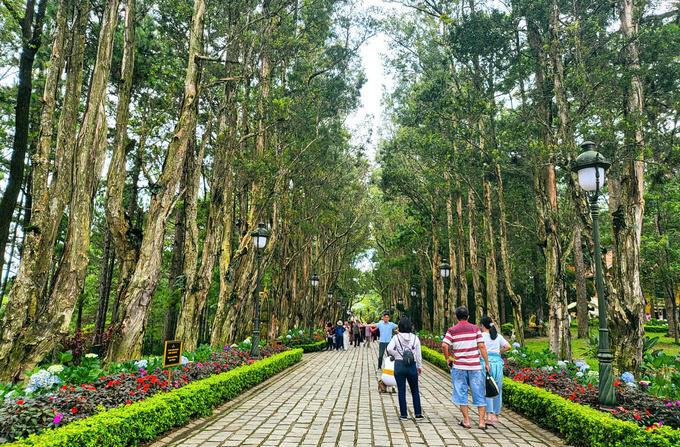 Từ năm 2015, khu du lịch Dinh 1 mỗi ngày đón từ 2.000-3.000 lượt du khách trong và ngoài nước đến tham quan.&nbsp;&nbsp;