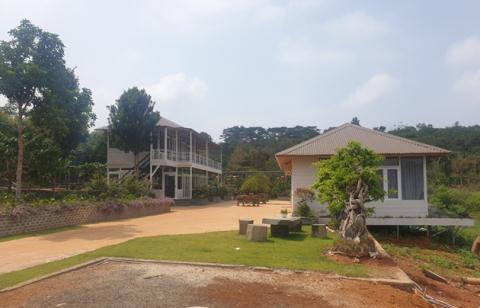 Mở đường trái phép trên đất rừng hồ thủy điện: Giải thích