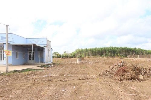 Bà Rịa - Vũng Tàu: Kiên quyết xử lý nghiêm nạn phân lô bán nền trái phép