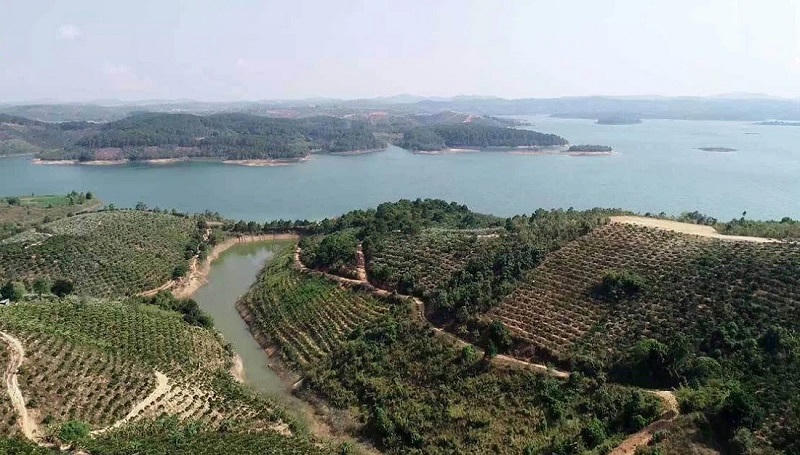 Tập đoàn T&T muốn ‘thế chỗ’ của FLC tại dự án hơn 13.600 tỷ tại Lâm Đồng?