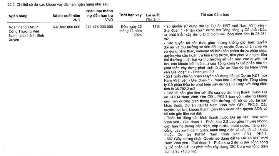 Tham vọng lớn, DIC Corp xoay dòng tiền từ kênh trái phiếu, gia tăng vay nợ