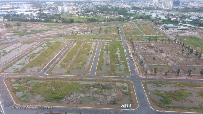 Sau Tết Nguyên đán 2025, sức mua đất nền khu vực sáp nhập tăng mạnh, ước tính tăng 20–30% so với cuối năm 2024.