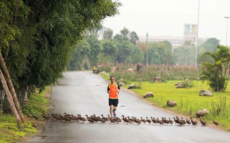Ecopark Marathon 2021 - Ngắm cung đường chạy giữa thiên nhiên “siêu chất” trước giờ G 