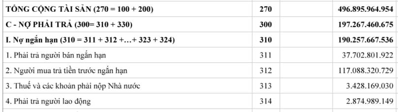 Nợ phải trả của Trí Việt Investcons đến cuối năm 2024 là hơn 197,2 tỷ đồng. Tập trung chủ yếu ở nợ ngắn hạn với hơn 190,2 tỷ đồng, chiếm 96,4% nợ phải trả của công ty.
