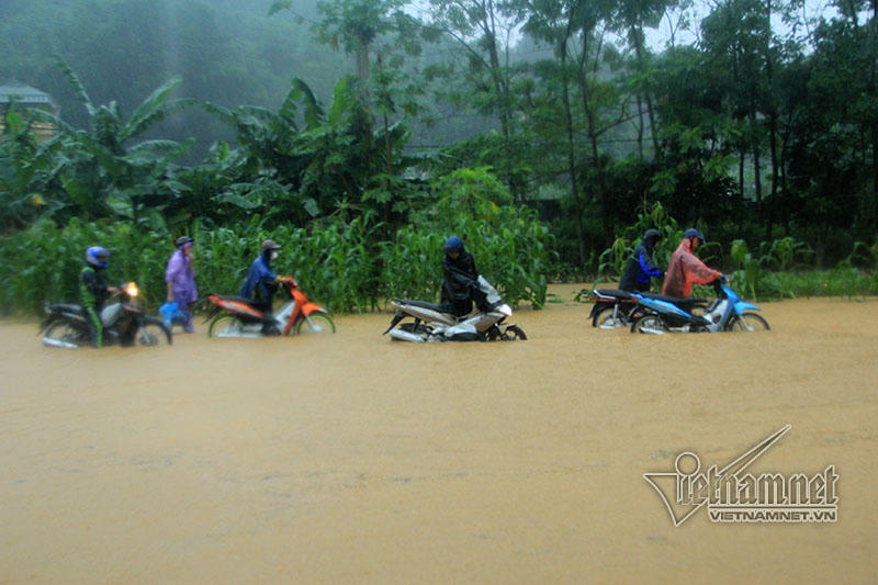 Trăm xe lặn ngụp giữa biển nước lũ Hòa Bình