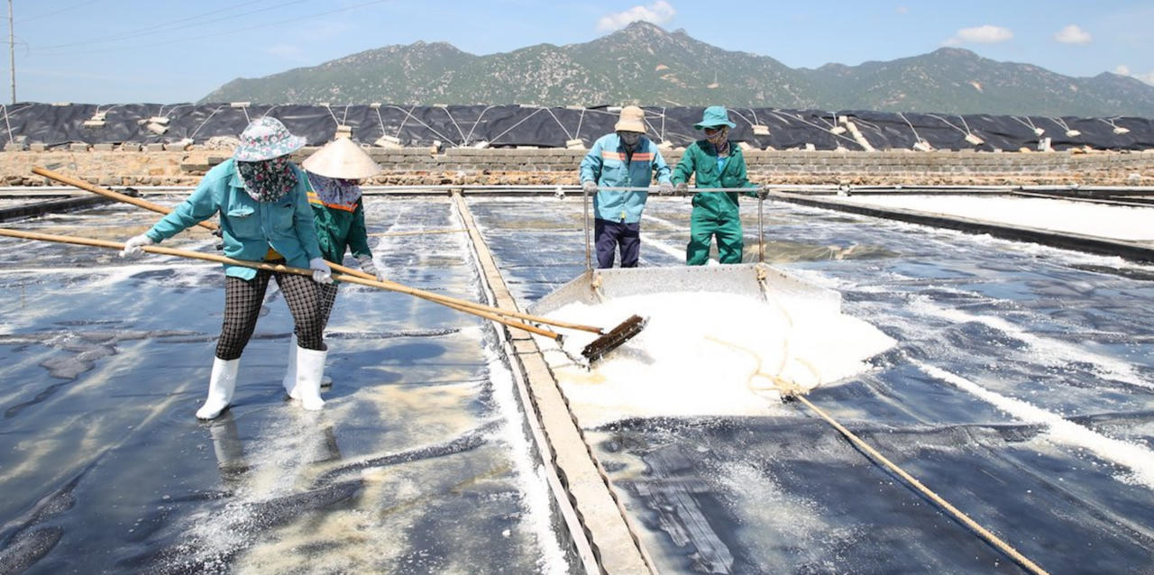 Hành trình ra biển lớn của ‘thuyền trưởng’ Bim Group Đoàn Quốc Việt