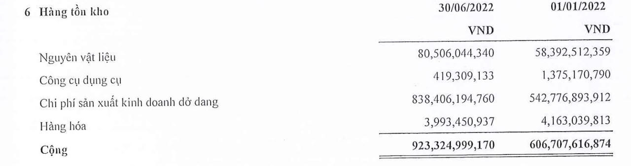 CEO Group: “Tham vọng” mở rộng thêm quỹ đất từ 500 – 1000 ha, cam kết hoàn thành mục tiêu 300 tỷ đồng lợi nhuận trong năm nay?