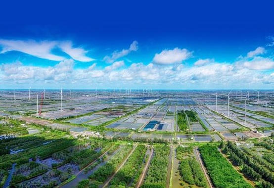 Giải bài toán "lệch nhịp" giữa kinh tế tuần hoàn và kinh tế số 