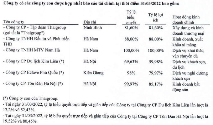 Tiền chỉ còn 60 tỷ, Thaiholdings lấy gì trả 840 tỷ đồng cho Tân Hoàng Minh như yêu cầu của cơ quan điều tra?