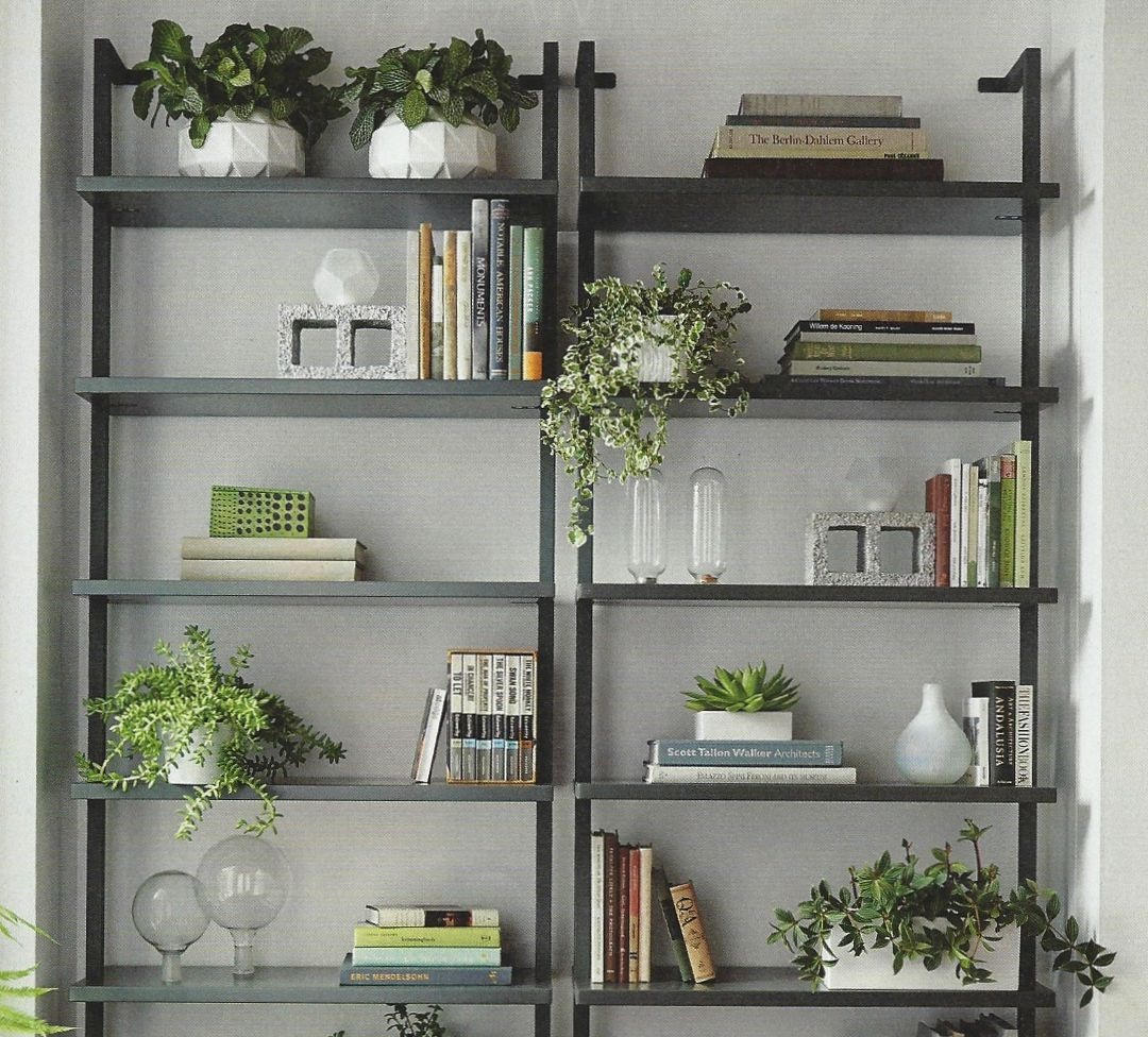 Những nguyên tắc bố trí cây xanh trong văn phòng