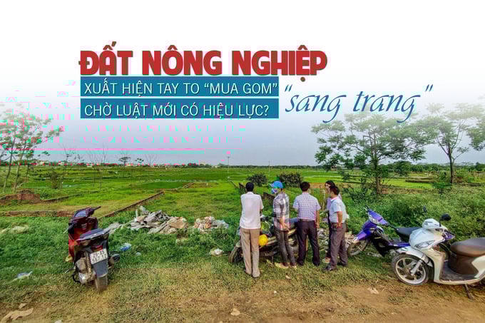 Đất nông nghiệp “sang trang”: Xuất hiện tay to “mua gom” chờ Luật mới có hiệu lực?