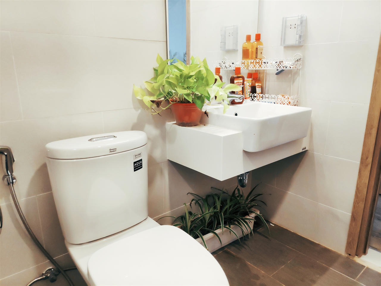 Cần lưu ý điều gì khi nuôi dưỡng cây xanh trong nhà?