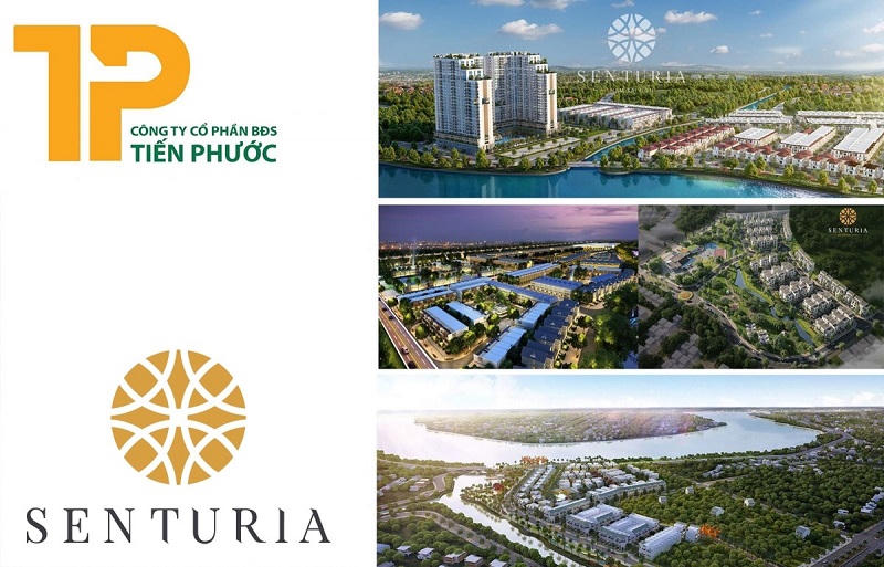 Thanh tra Chính phủ chỉ ra sai phạm tại dự án trên “đất vàng” của Tiến Phước