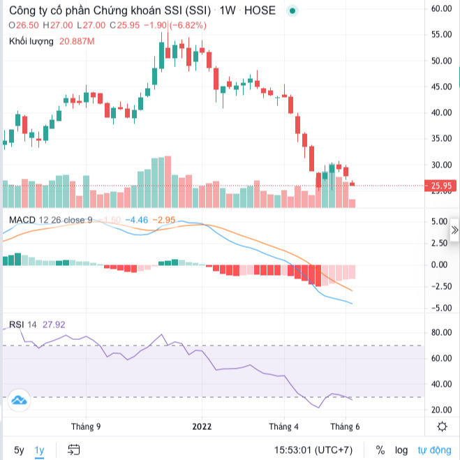 SSI muốn huy động gần 7.500 tỷ đồng qua tăng vốn, để ngỏ khả năng đầu tư thêm vào trái phiếu và chứng chỉ tiền gửi