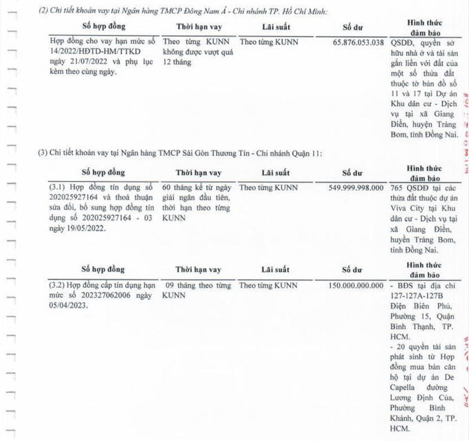 LDG đã dùng Quyền sử dụng đất, quyền sở hữu nhà ở và tài sản gắng liền với đất của một số dự án để thế chấp vay vốn tại một số ngân hàng. &nbsp;