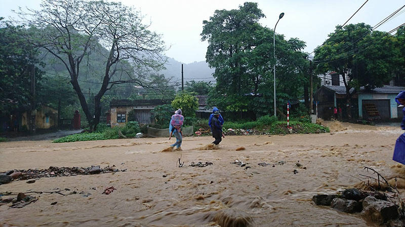 Trăm xe lặn ngụp giữa biển nước lũ Hòa Bình