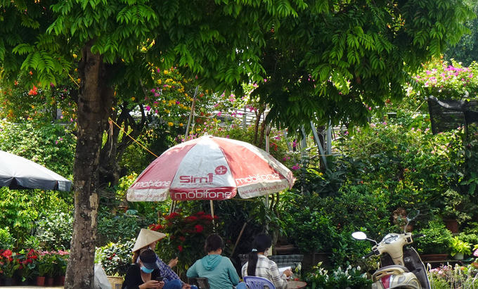 Long Biên: Hàng nghìn m2 đất bị lấn chiếm, sử dụng sai mục đích