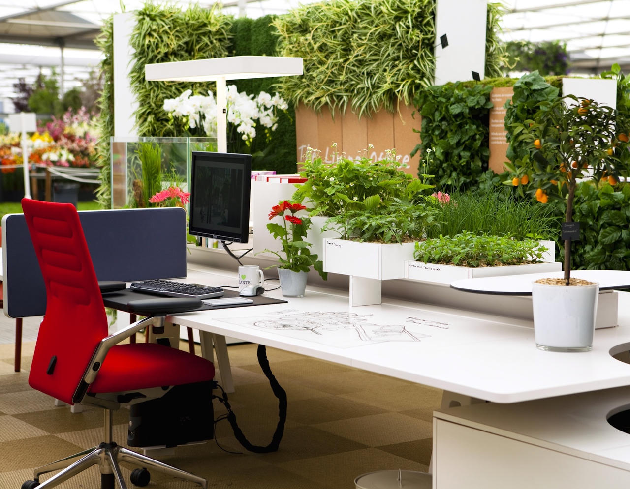 Những nguyên tắc bố trí cây xanh trong văn phòng