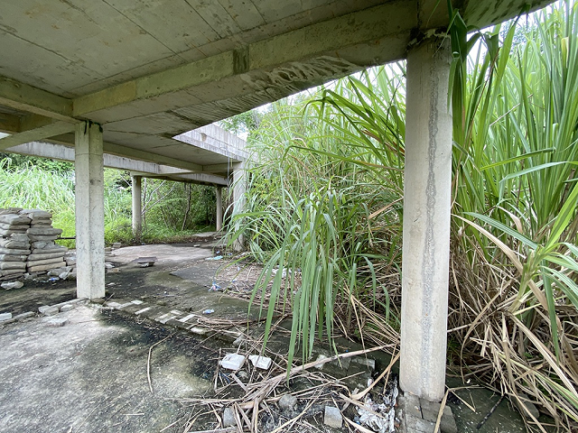 Cỏ dại mọc phủ kín công trình dự án Tricon Tower bỏ hoang nhiều năm qua. Ảnh: Thanh Niên