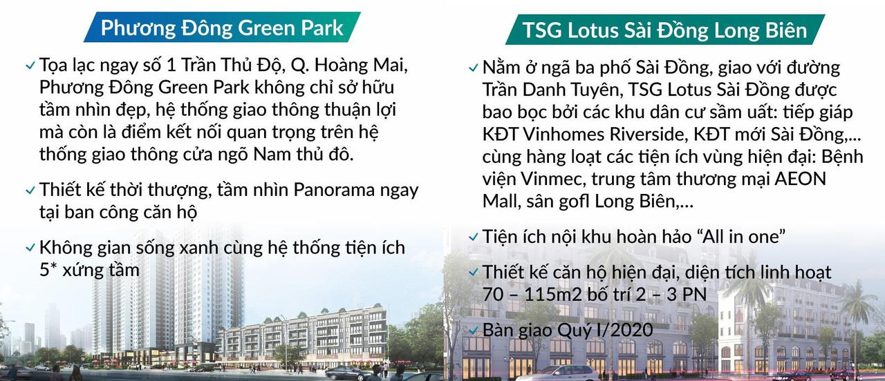 Đất Xanh Miền Bắc quyết khuấy động thị trường bất chấp Covid-19