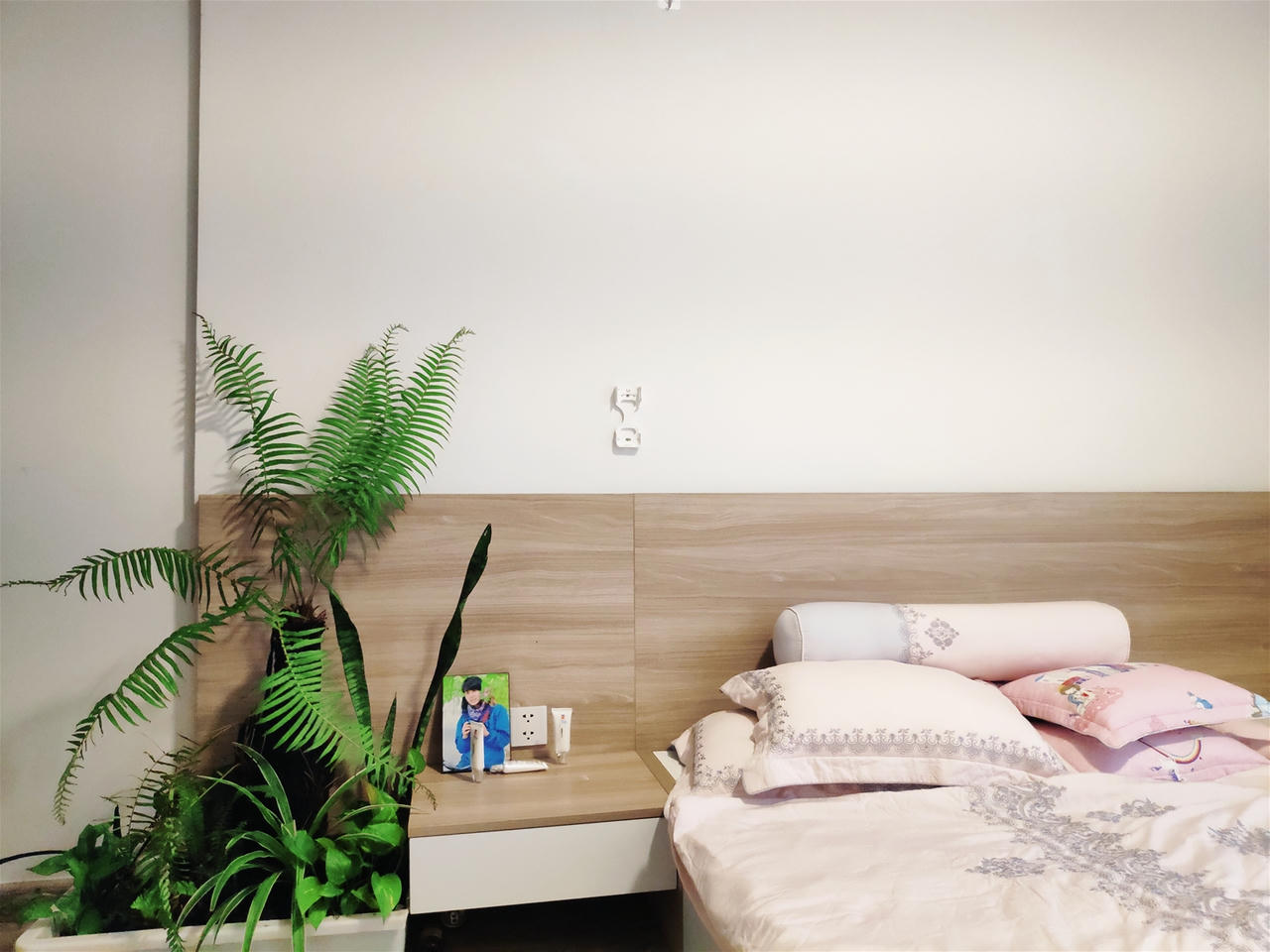 Cần lưu ý điều gì khi nuôi dưỡng cây xanh trong nhà?