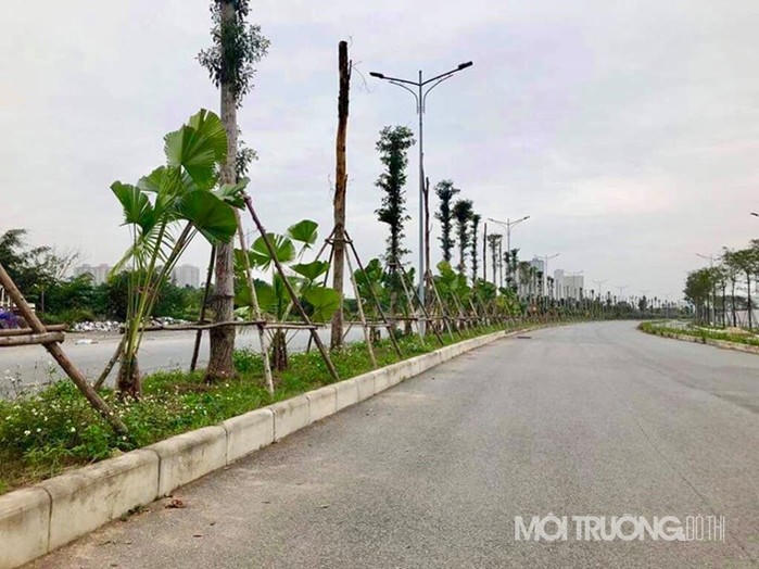 Tuyến đường BT dở dang, The Manor Central Park đã đón cư dân vào ở?