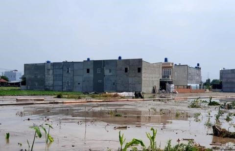 Nhiều dự &aacute;n ở TP. HCM x&acirc;y dựng tr&ecirc;n đất n&ocirc;ng nghiệp.