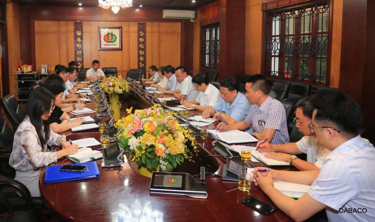 Phiên họp ngày 1/7 đã hé lộ kết quả kinh doanh đột biến của Dabaco (Ảnh: Dabaco)
