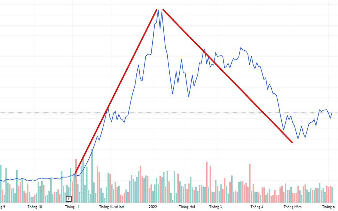 Diễn biến giá cổ phiếu CEO &nbsp;