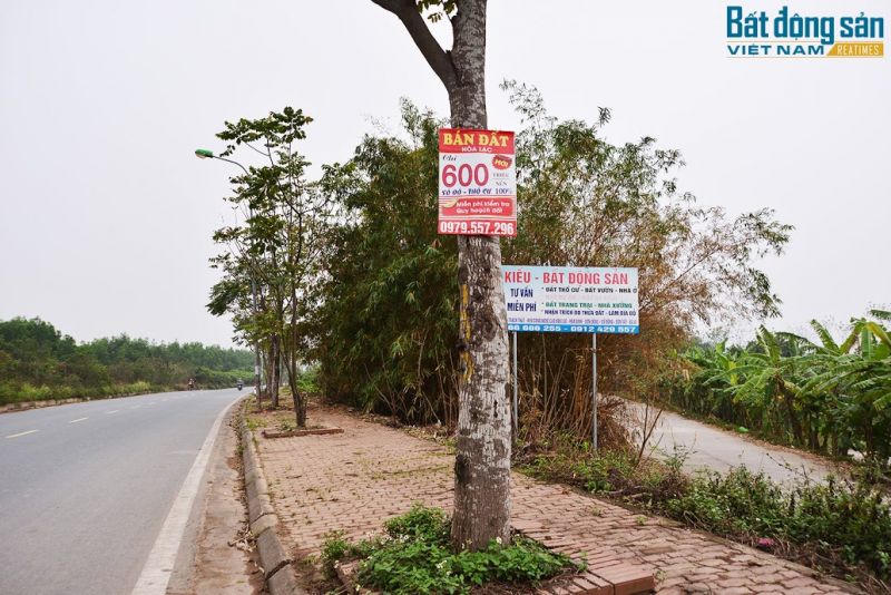 Ảnh minh họa. &nbsp;