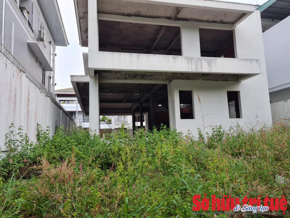 Một căn biệt thự ở dự án khác nhiều năm nay vẫn để không, bên trong rêu bám, cỏ cây mọc um tùm.&nbsp;