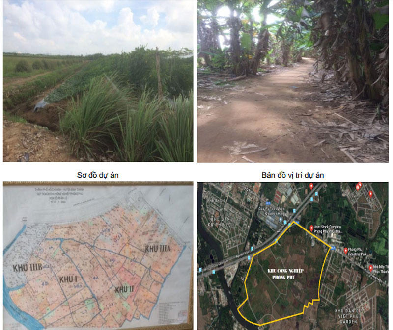 Trầm Bê vào tù, đại gia Dương Công Minh dọn dẹp tài sản ngàn tỷ