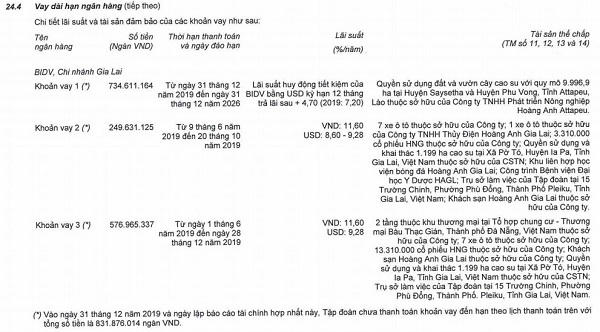 HAGL còn hơn 830 tỷ đồng quá hạn trả cho BIDV, lỗ thêm 200 tỷ sau kiểm toán