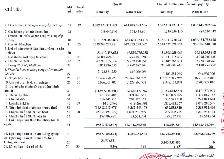 Báo cáo tài chính của AGM