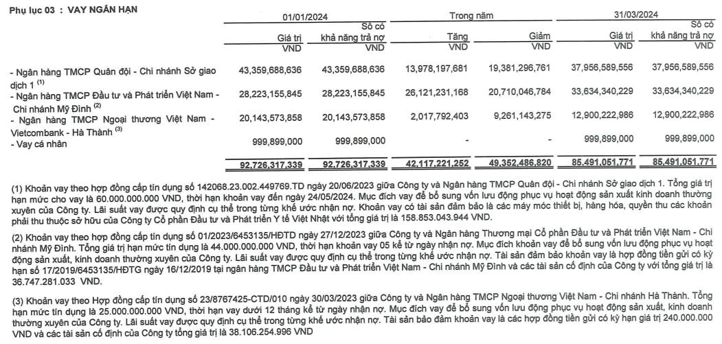 Các khoản vay của CTCP Đầu tư và phát triển Y tế Việt Nhật tại các ngân hàng
