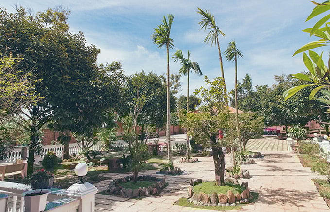 Rất nhiều cây cổ thụ trong khuôn viên căn nhà