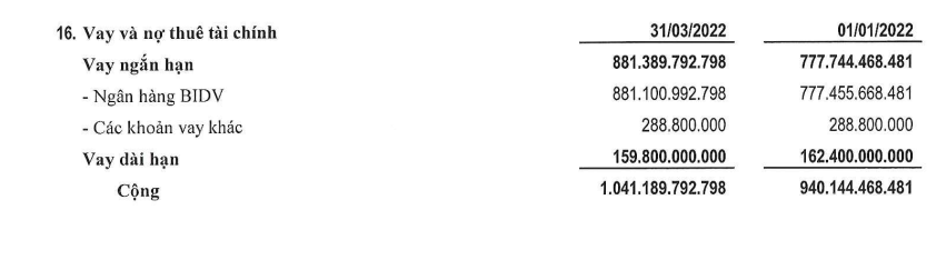 Chi tiết các khoản nợ vay tại Phục Hưng Holdings. (Nguồn: BCTC hợp nhất quý 1/2022) &nbsp;