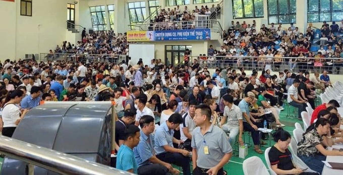 Buổi đấu giá đất kỷ lục tại Thanh Oai (Hà Nội) vừa diễn ra.