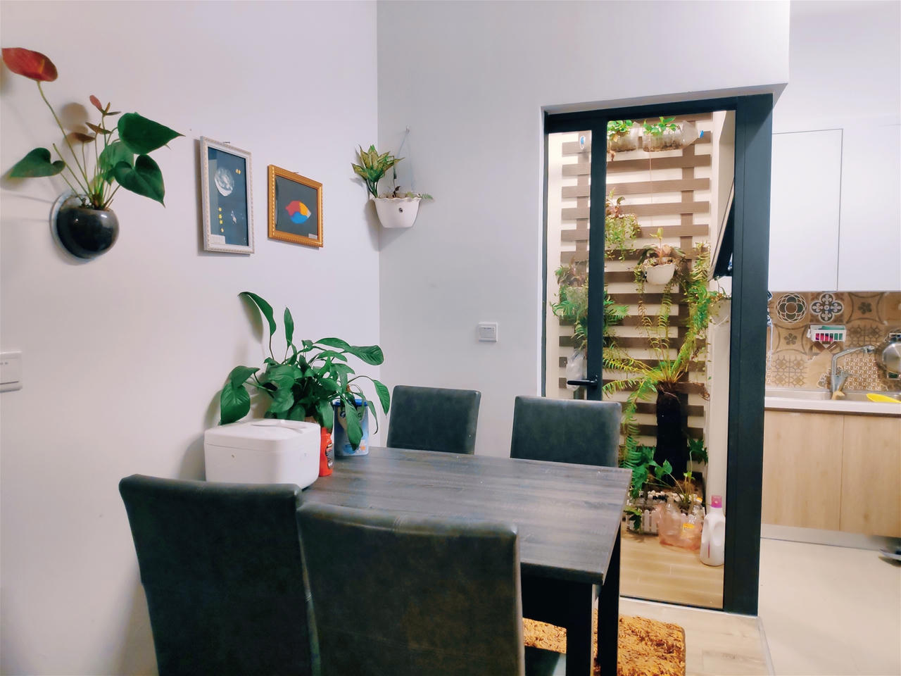 Cần lưu ý điều gì khi nuôi dưỡng cây xanh trong nhà?