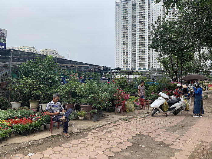 Nhà ở xã hội Rice City Tố Hữu: Đang là bãi đất trống, 'cò' đã rao bán căn hộ