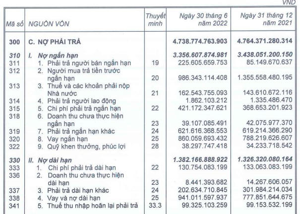 Nợ phải trả của TTC Land tại thời điểm 30/6/2022 (Nguồn: BCTC TTC Land)